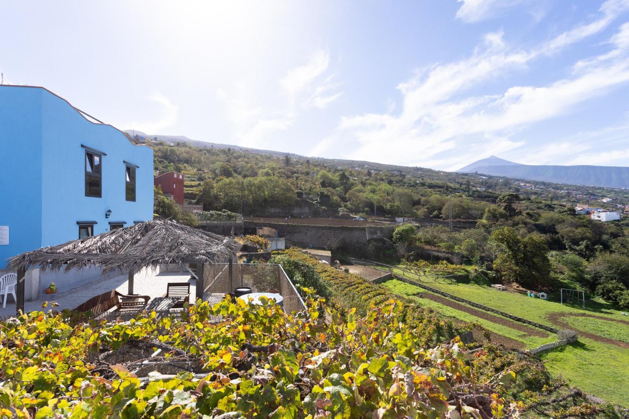 Ek Drago Finca El Milagro La Orotava Exteriör bild