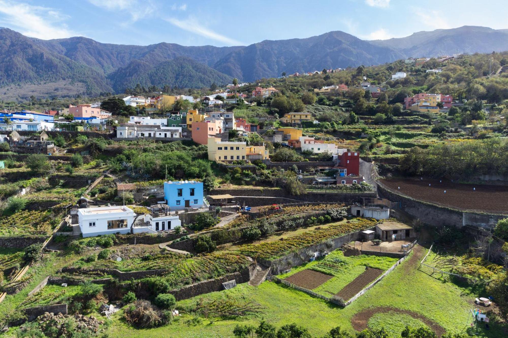 Ek Drago Finca El Milagro La Orotava Exteriör bild