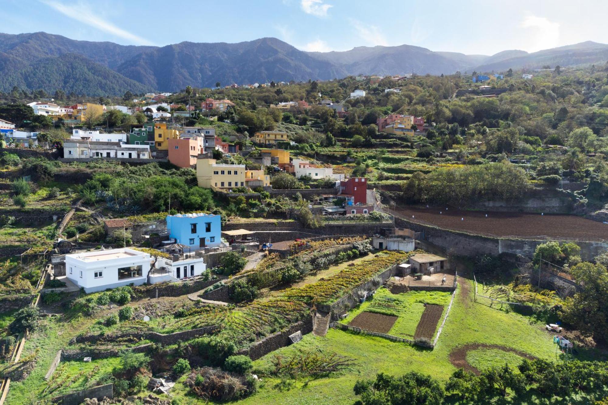 Ek Drago Finca El Milagro La Orotava Exteriör bild