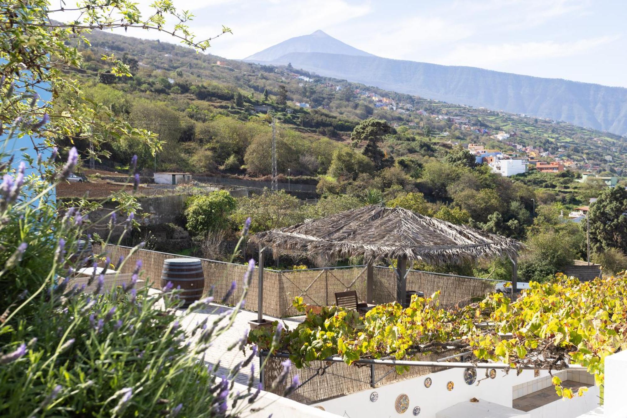 Ek Drago Finca El Milagro La Orotava Exteriör bild
