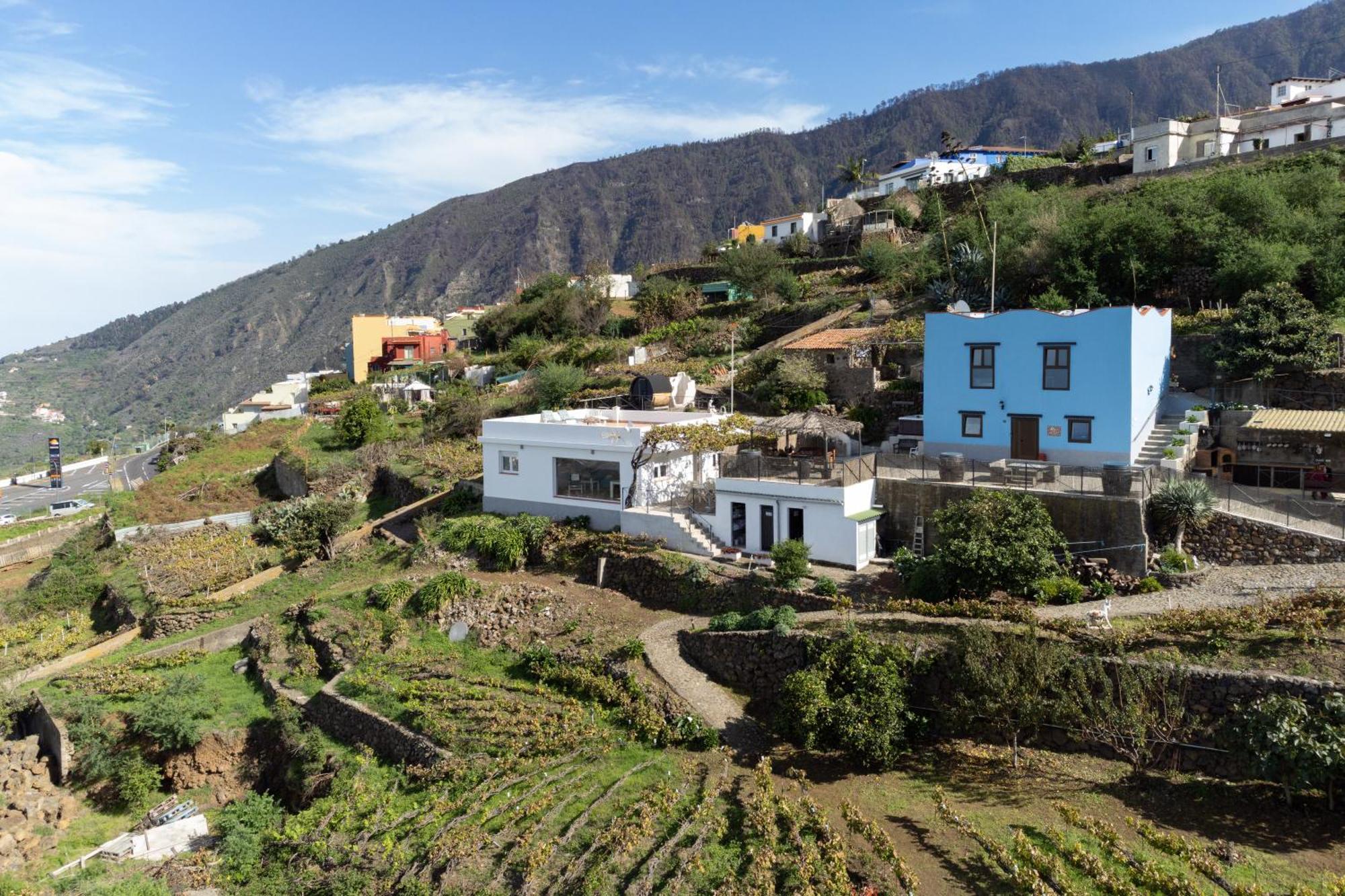 Ek Drago Finca El Milagro La Orotava Exteriör bild