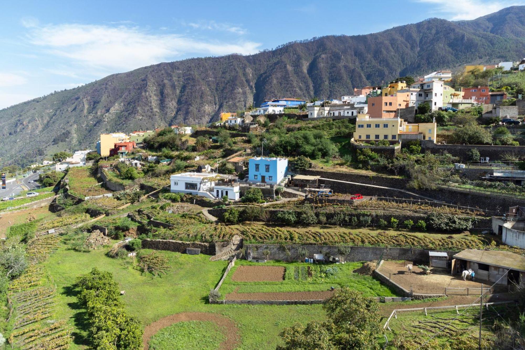 Ek Drago Finca El Milagro La Orotava Exteriör bild